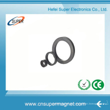 China Großhandel Neodym-Ring-Magnet